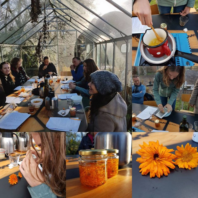 calendulaworkshop.jpg