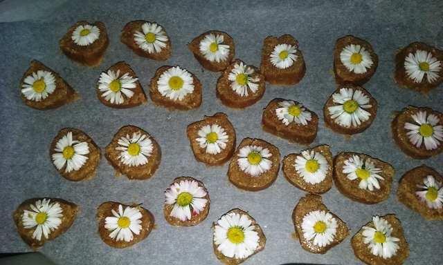 madeliefkoekjes_003